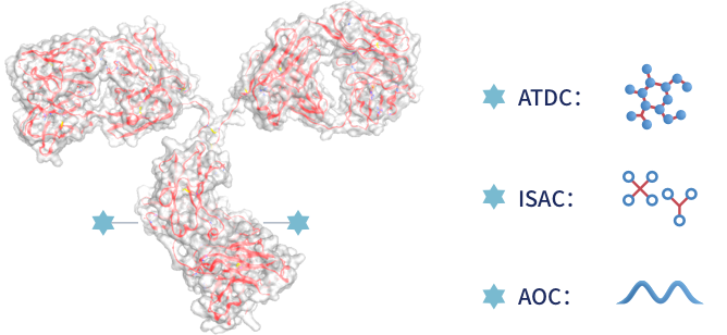 牛宝体育app下载