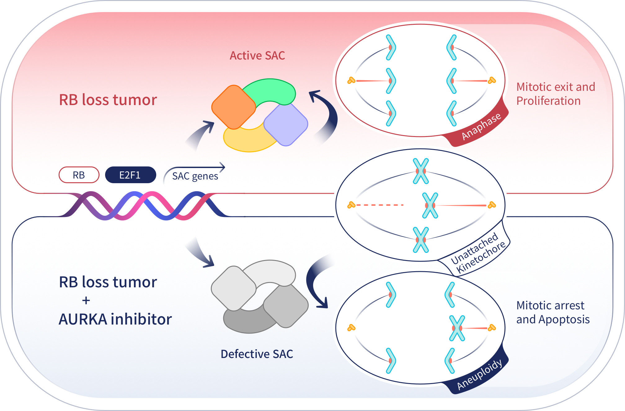 牛宝体育app下载