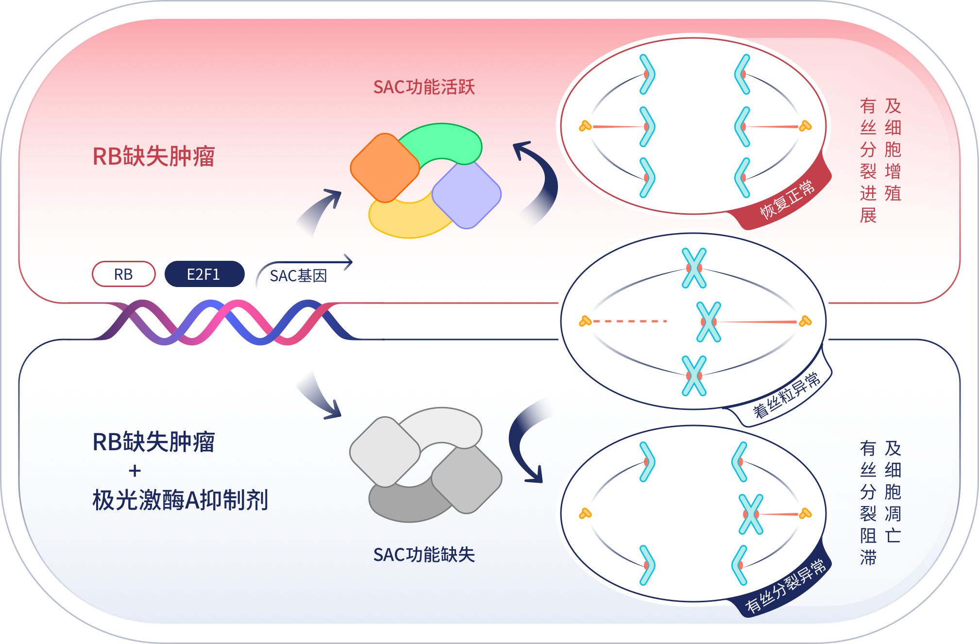 牛宝体育app下载