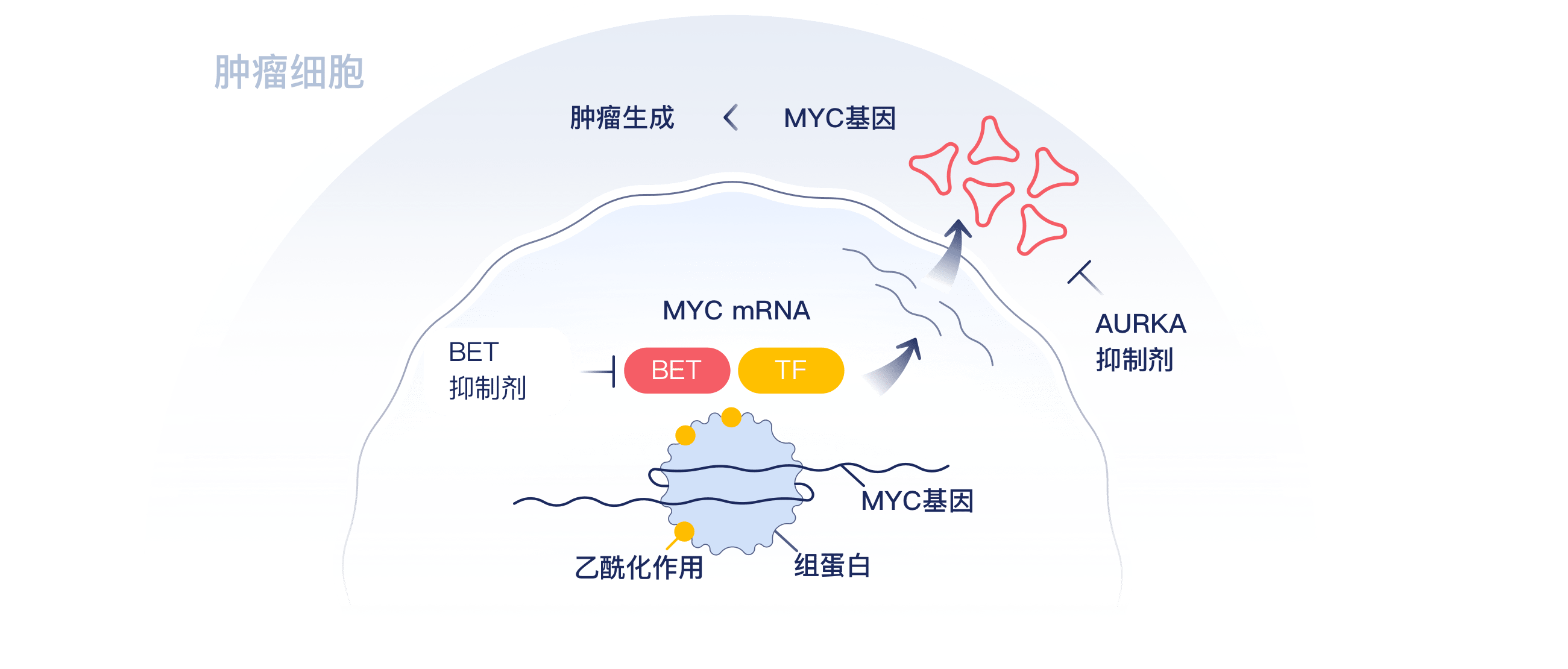 牛宝体育app下载