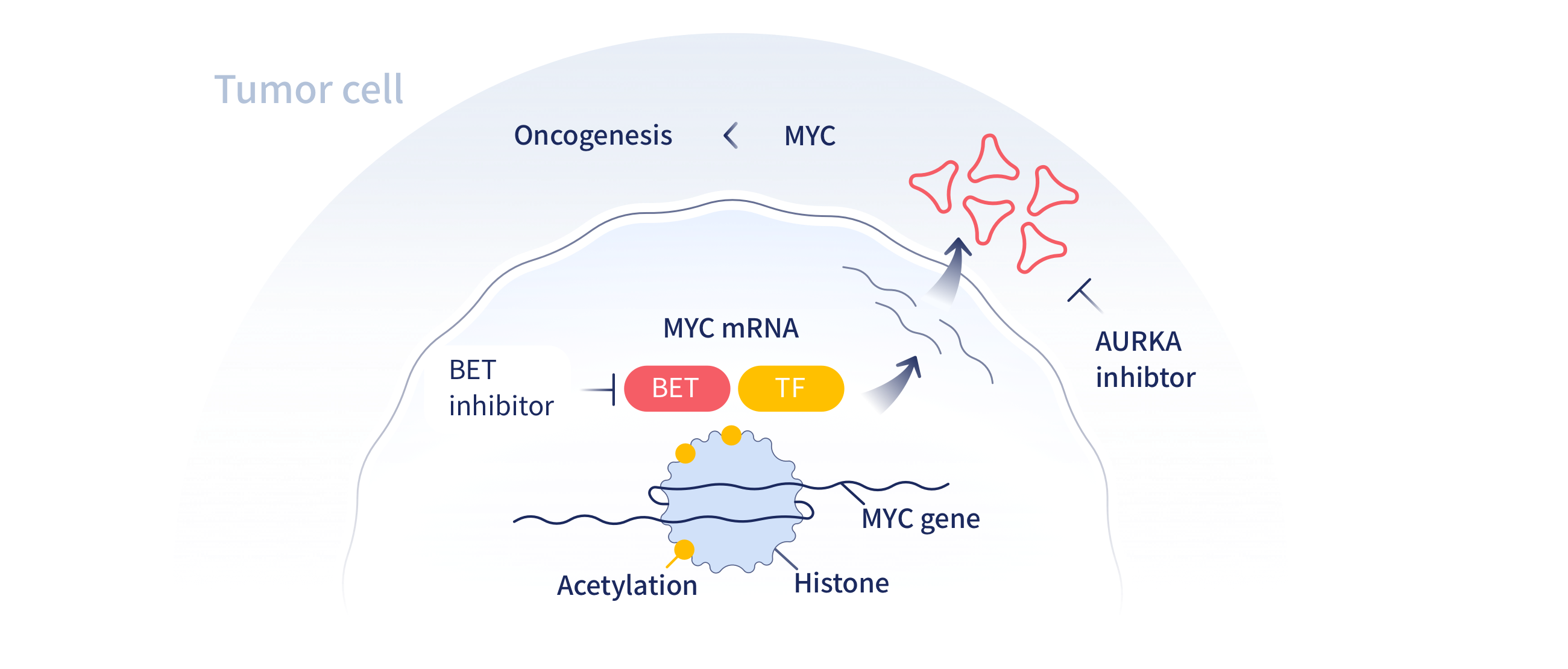 牛宝体育app下载