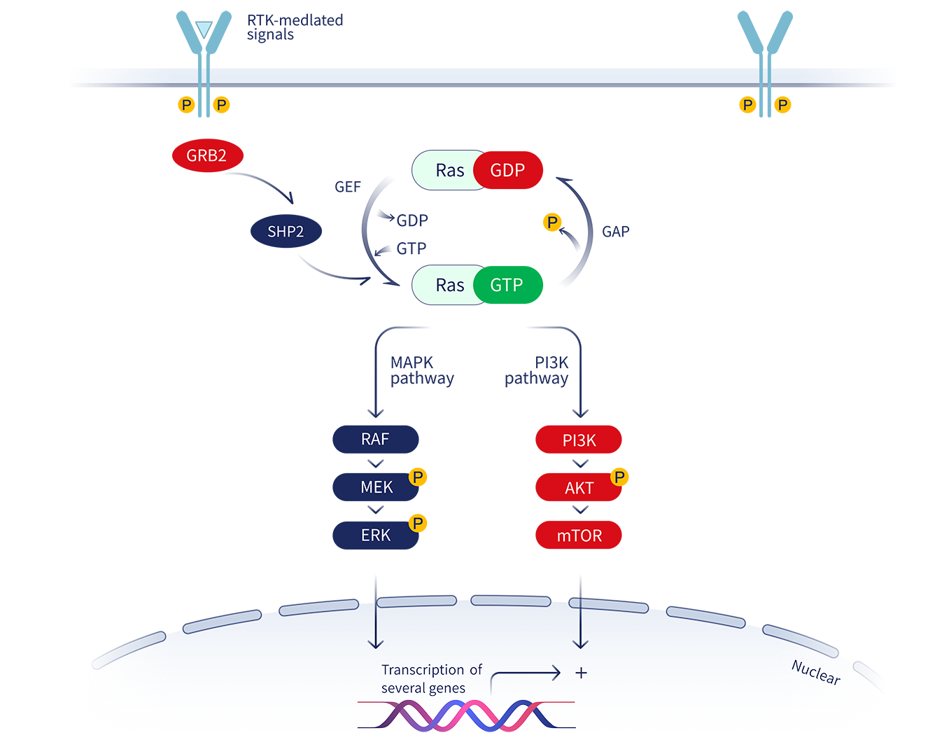 牛宝体育app下载