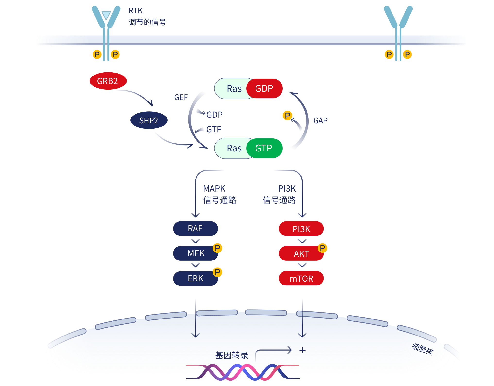 牛宝体育app下载