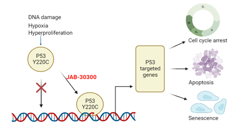 牛宝体育app下载