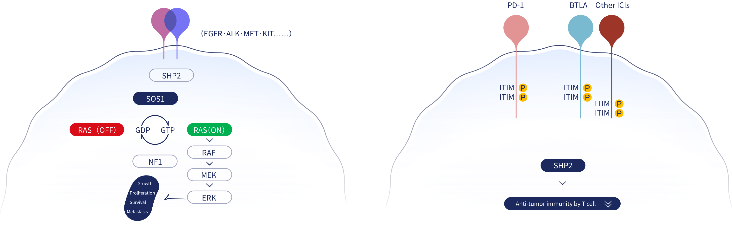 牛宝体育app下载