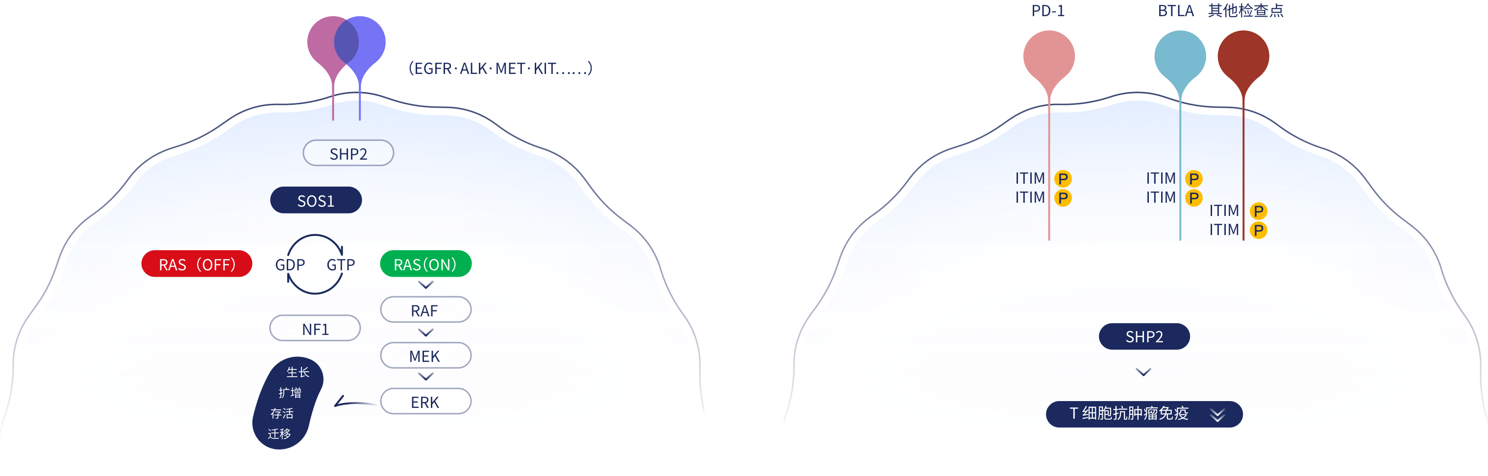 牛宝体育app下载