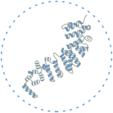 牛宝体育app下载