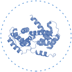 牛宝体育app下载