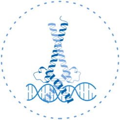 牛宝体育app下载