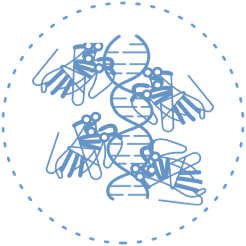 牛宝体育app下载
