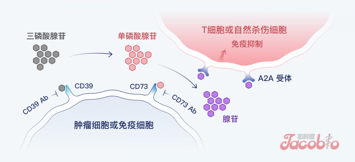 牛宝体育app下载